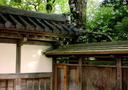 Japanese Tea Garden gate.